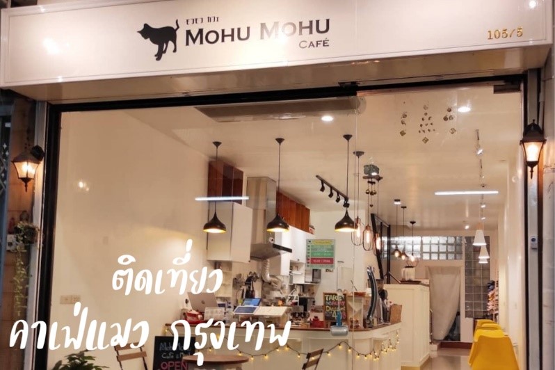 คาเฟ่แมว คาเฟ่แมวกรุงเทพ คาเฟ่แมวในกรุงเทพ ติดเที่ยว Mohu Mohu Café (โมฮุโมฮุ คาเฟ่)